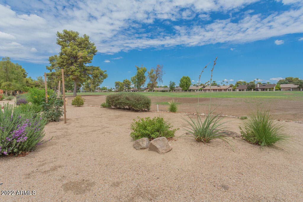 12003 S TONOPAH Drive, Phoenix, AZ 85044 — photo 43 of 49