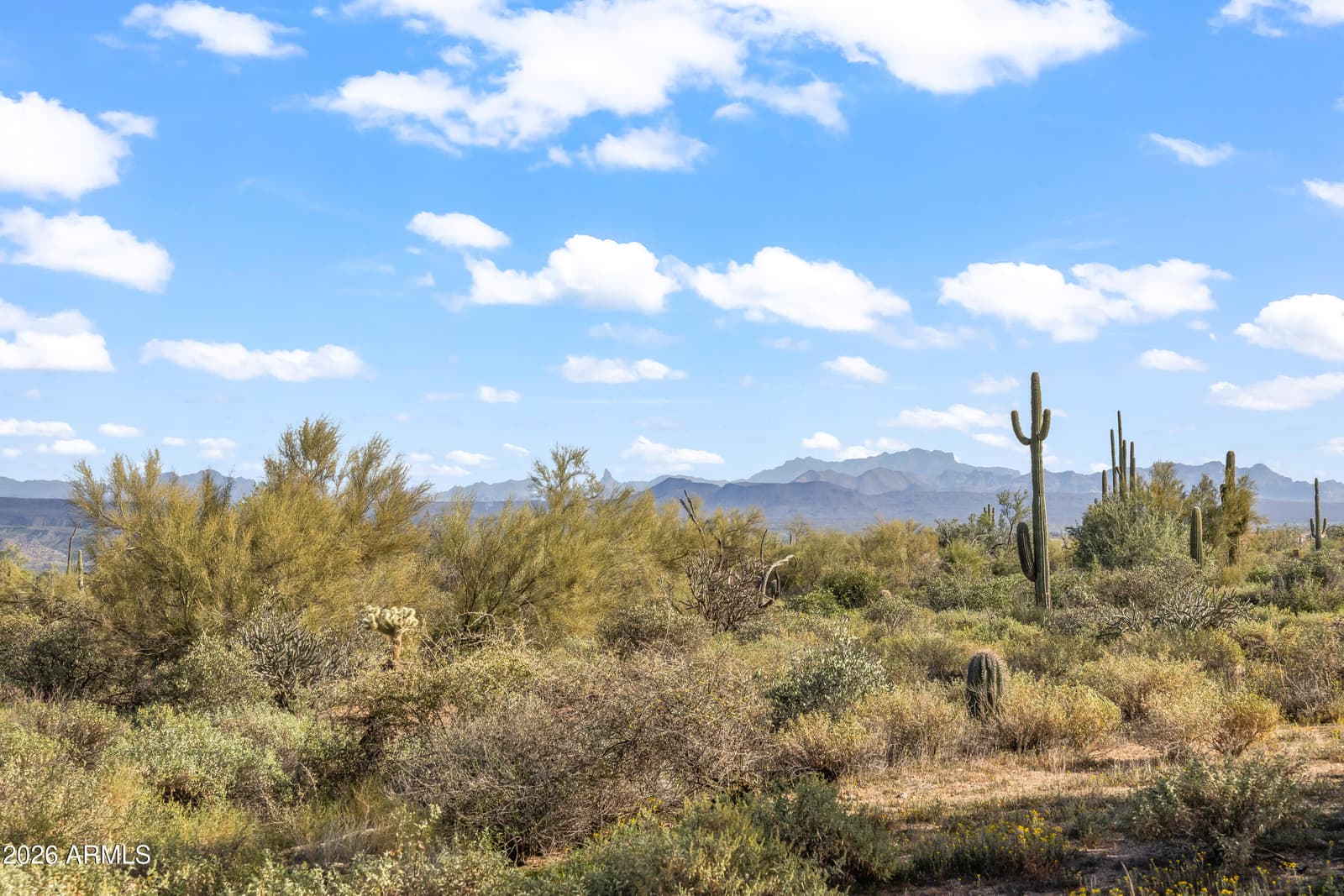 17021 E LOWDEN Road, Rio Verde, AZ 85263 — photo 39 of 41