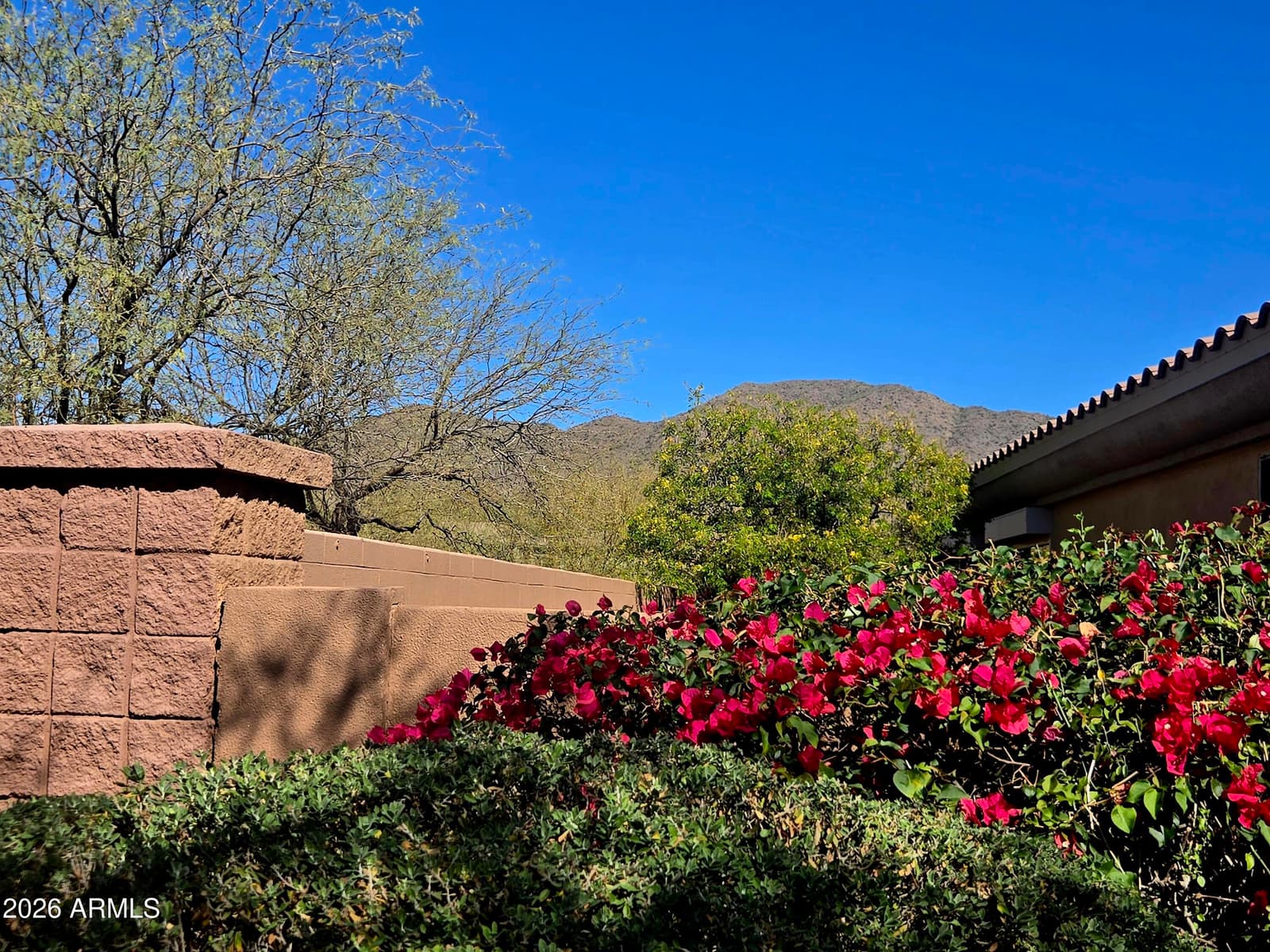 2238 W MUIRFIELD Drive, Anthem, AZ 85086 — photo 89 of 124