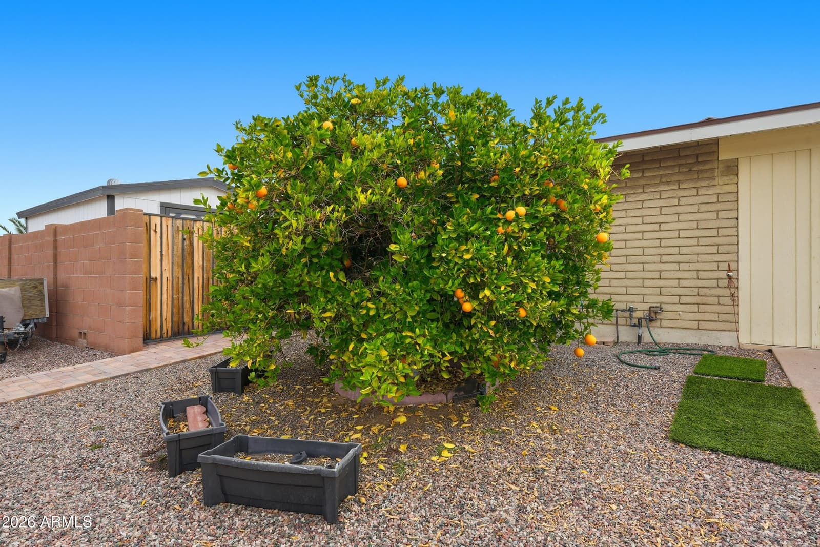 5832 E BILLINGS Street, Mesa, AZ 85205 — photo 32 of 40