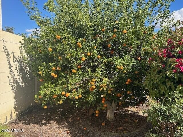 18324 W OREGON Avenue, Litchfield Park, AZ 85340 — photo 28 of 29