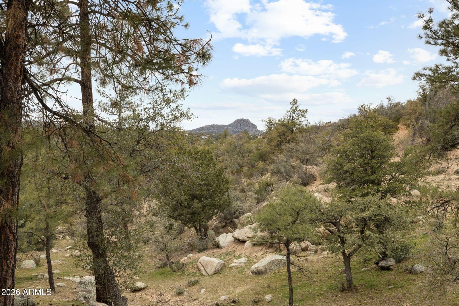 1256 W COYOTE RUN Trail, Prescott, AZ 86303 — photo 60 of 85