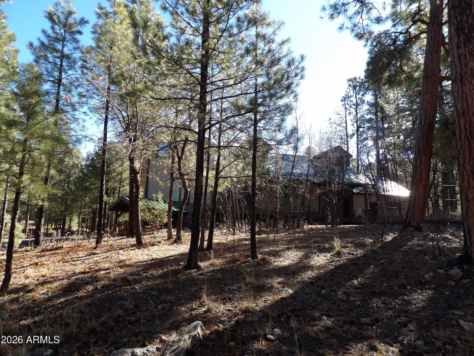 1884 BLUE SKY Circle, Happy Jack, AZ 86024 — photo 8 of 43