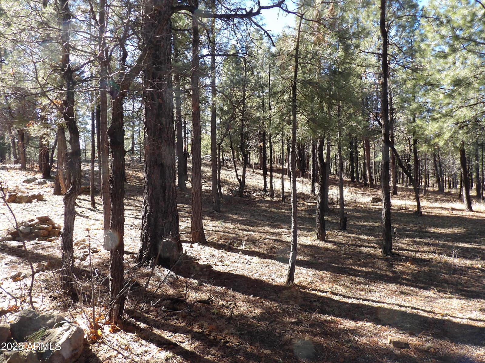 1884 BLUE SKY Circle, Happy Jack, AZ 86024 — photo 38 of 43