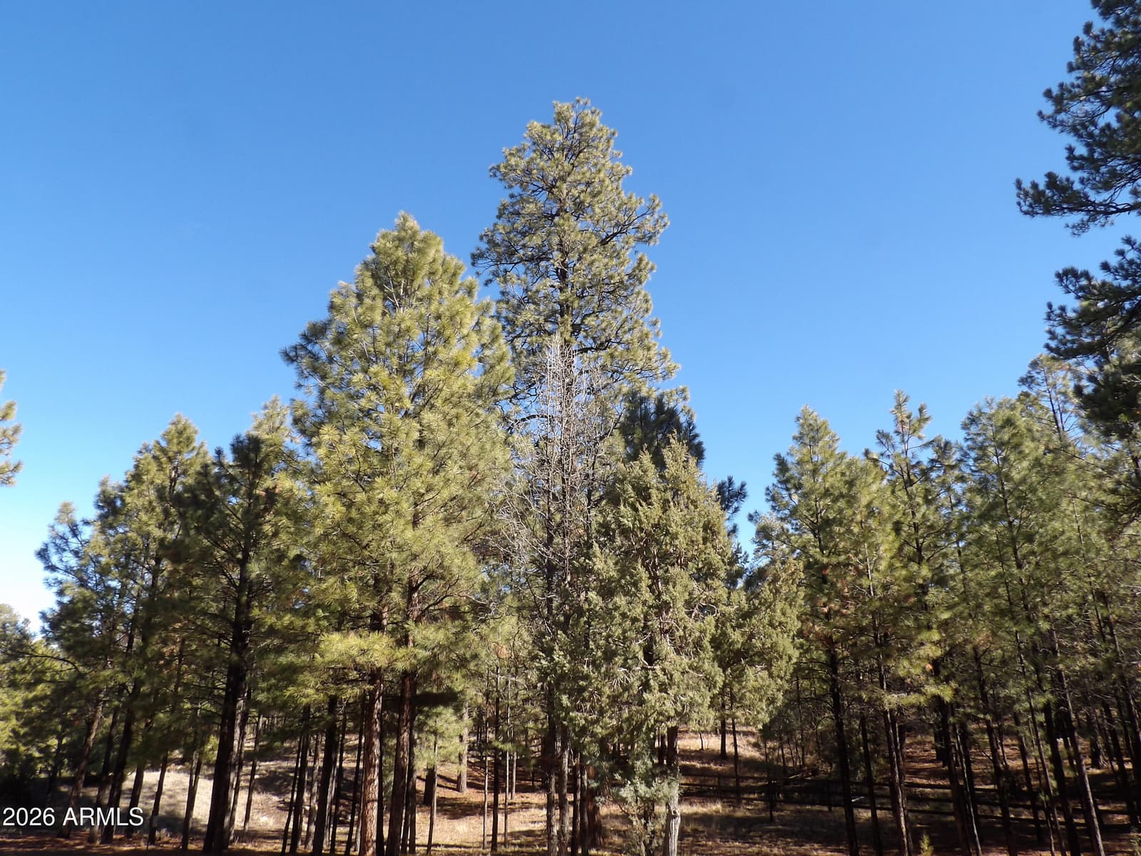 1884 BLUE SKY Circle, Happy Jack, AZ 86024 — photo 40 of 43