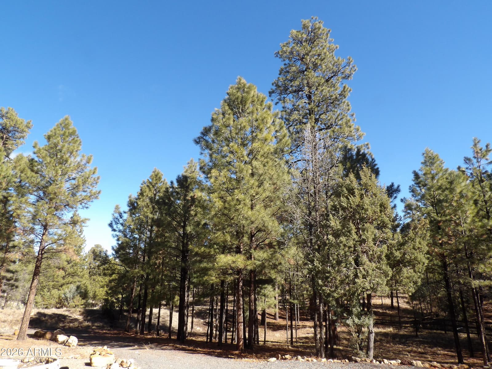 1884 BLUE SKY Circle, Happy Jack, AZ 86024 — photo 42 of 43