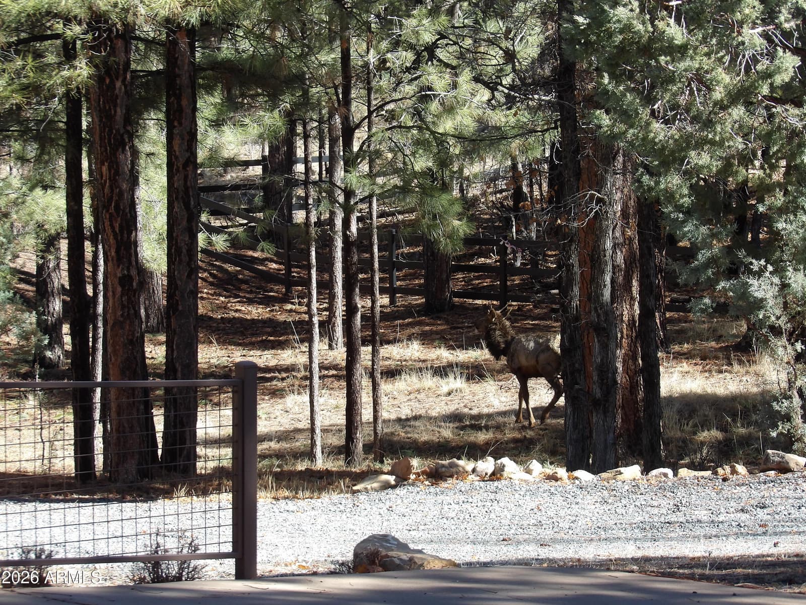 1884 BLUE SKY Circle, Happy Jack, AZ 86024 — photo 43 of 43
