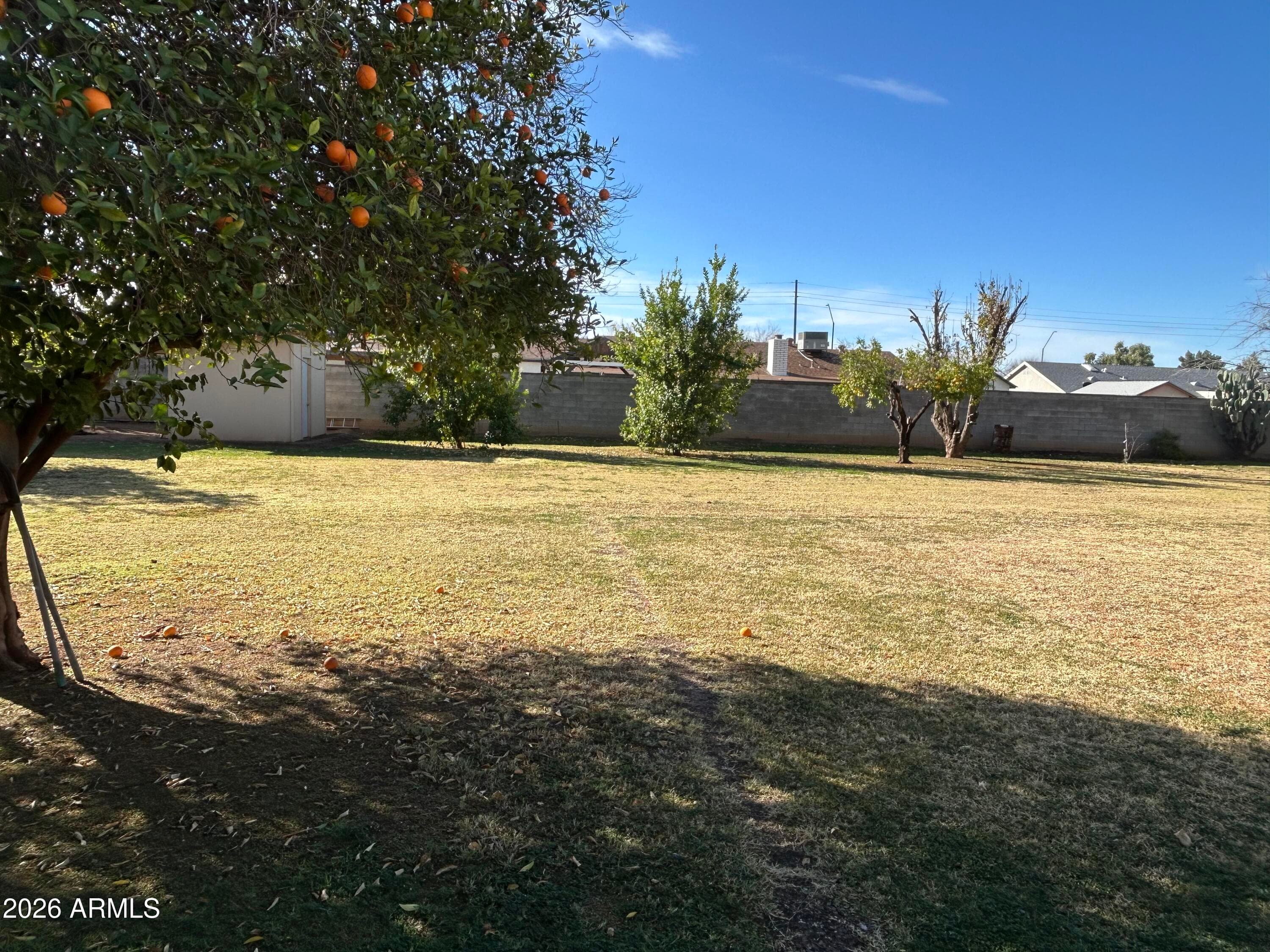 10517 W CATALINA Drive, Avondale, AZ 85392 — photo 59 of 62