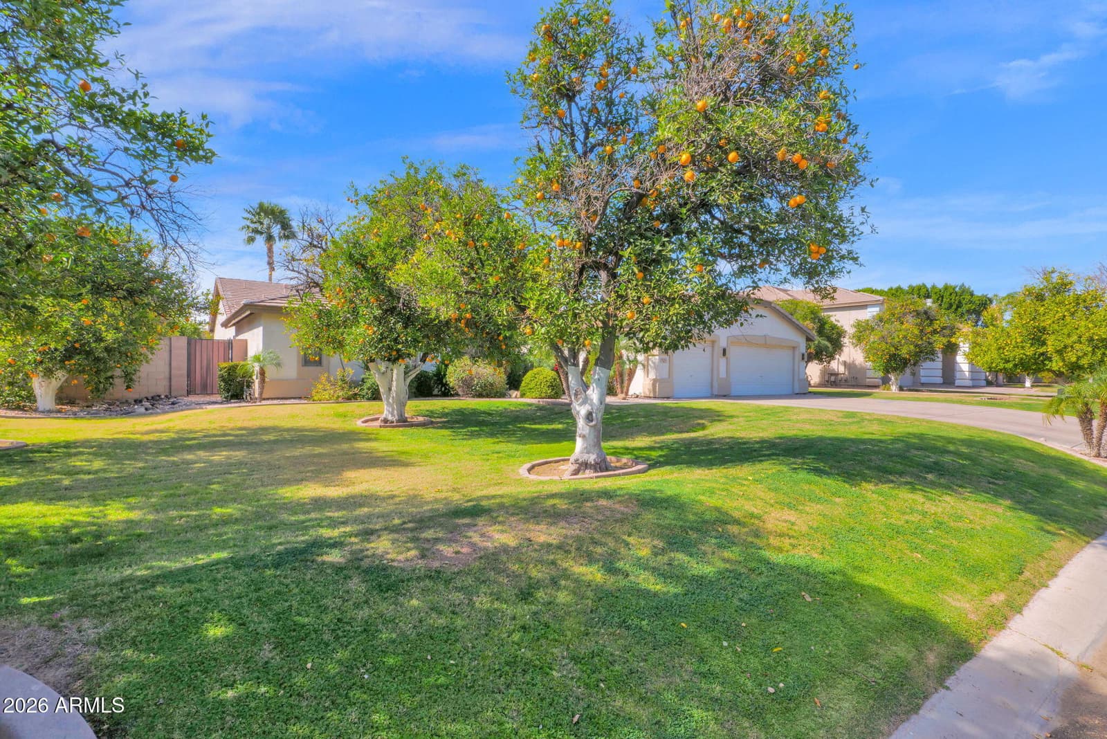 1126 N NASSAU Street, Mesa, AZ 85205 — photo 48 of 50