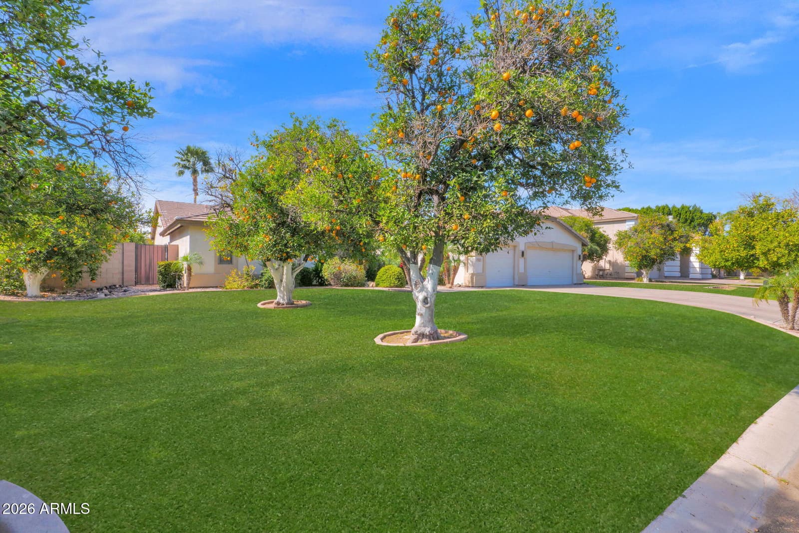 1126 N NASSAU Street, Mesa, AZ 85205 — photo 49 of 50