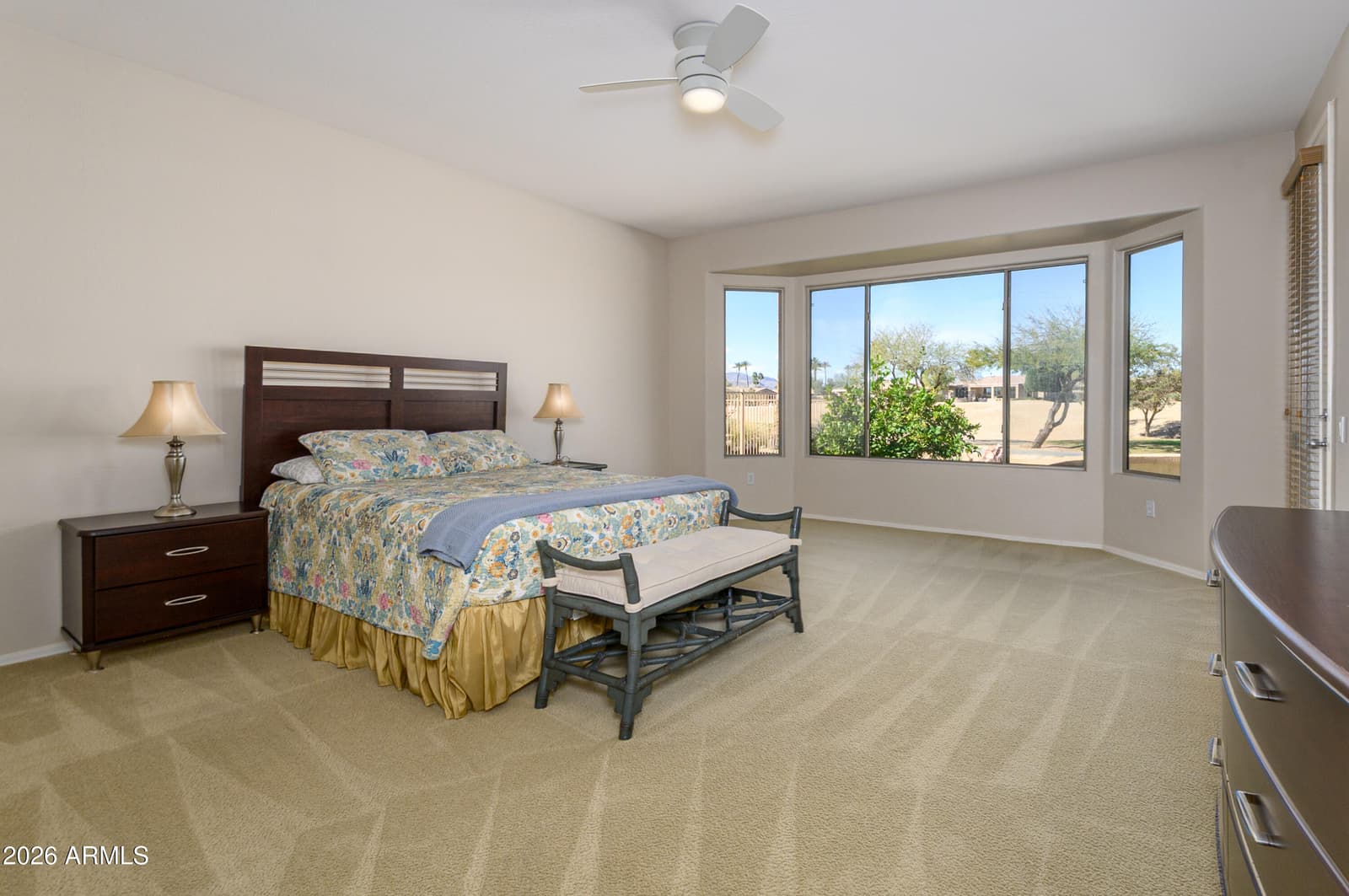 19346 N Echo Rim Drive, Surprise, AZ 85387 — photo 13 of 49