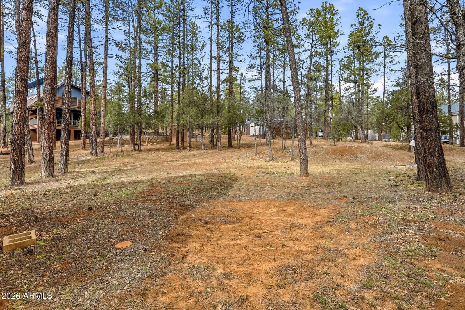 1041 E White Tail Drive, Show Low, AZ 85901 — photo 44 of 56