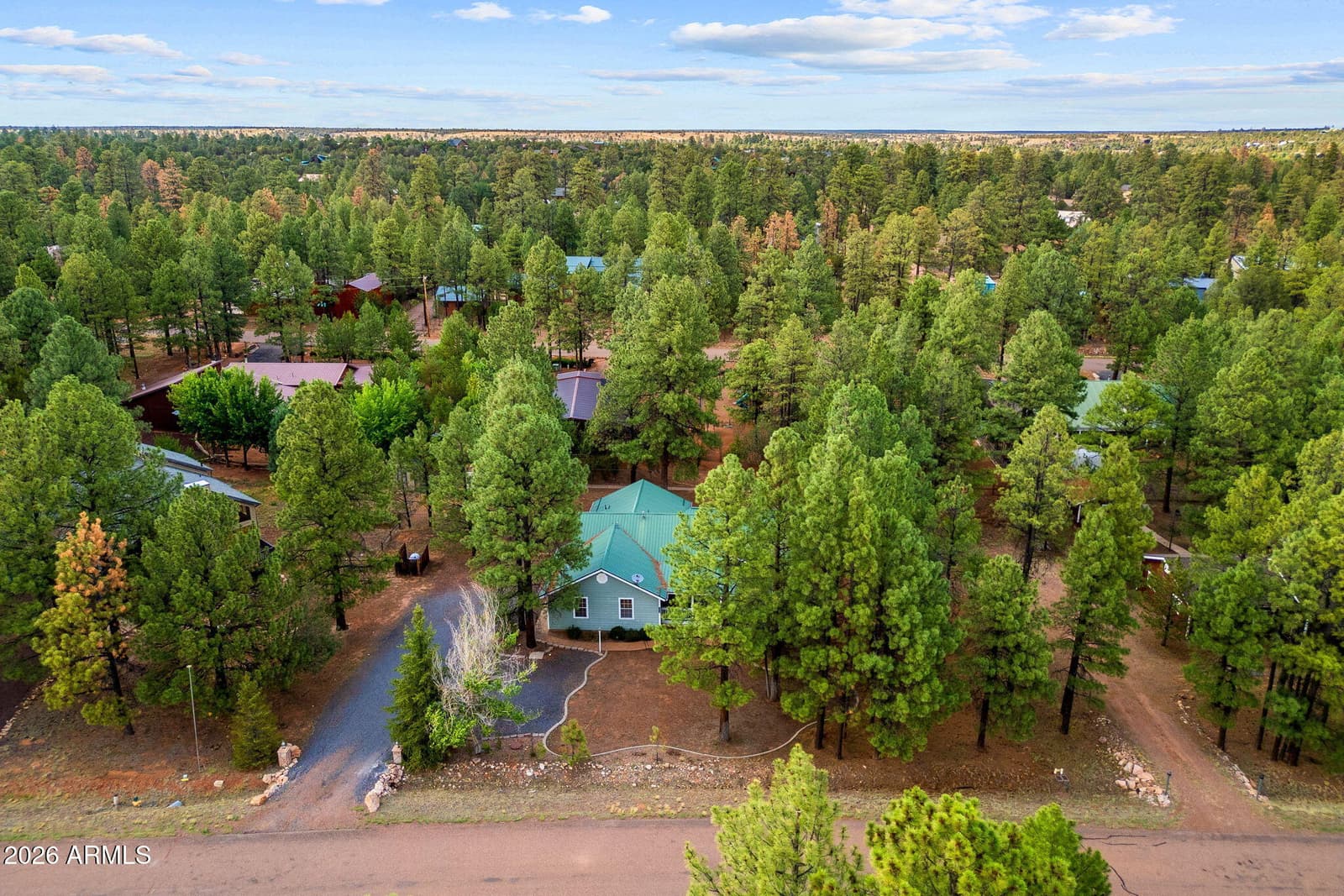 2236 Cross Country Road, Overgaard, AZ 85933 — photo 48 of 59