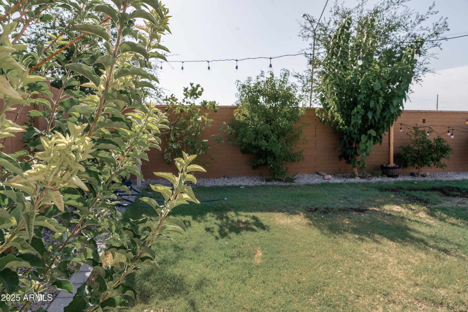 21950 N 260TH Lane, Buckeye, AZ 85396 — photo 52 of 61