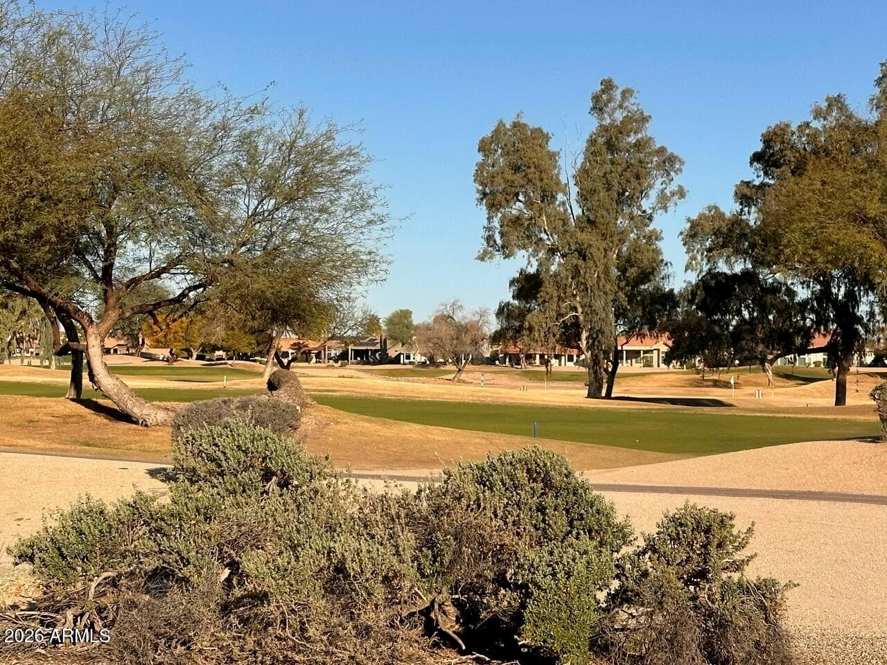 14718 W BLUE VERDE Drive, Sun City West, AZ 85375 — photo 29 of 36