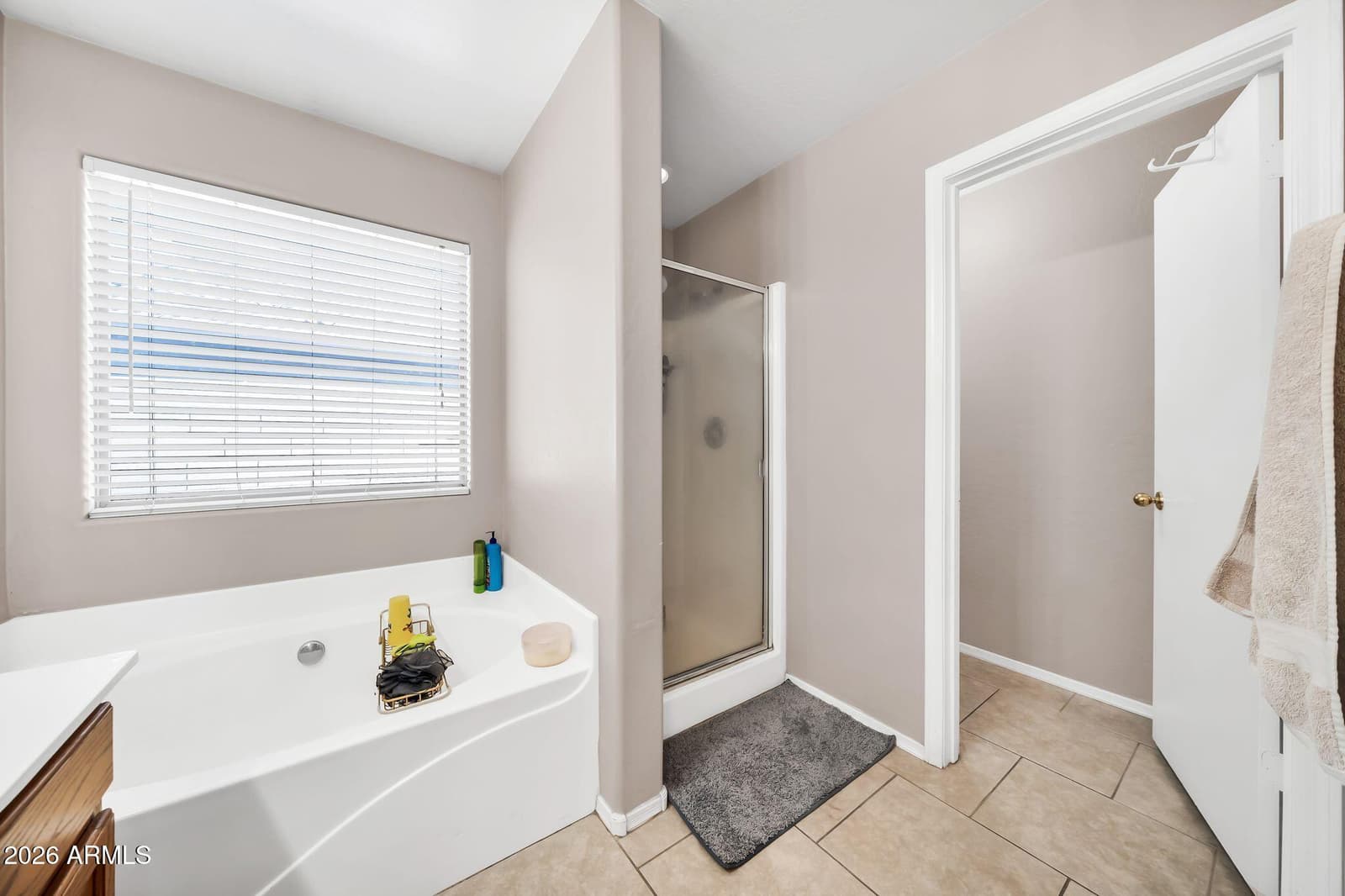 11779 W BELMONT Drive, Avondale, AZ 85323 — photo 19 of 33