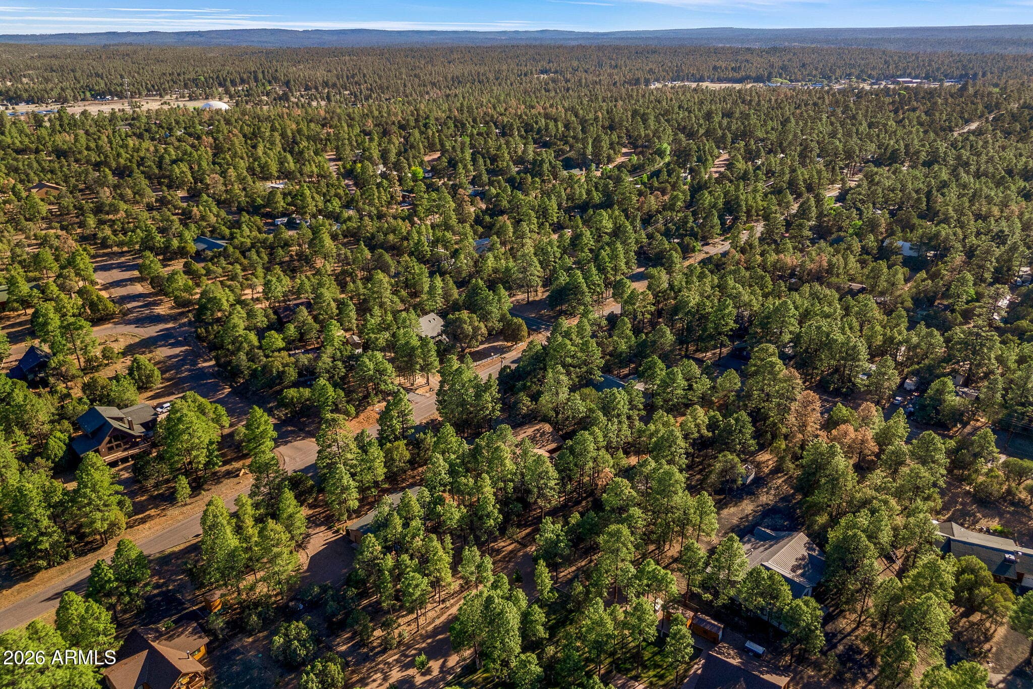 2202 FOREST PARK Drive, Overgaard, AZ 85933 — photo 44 of 50