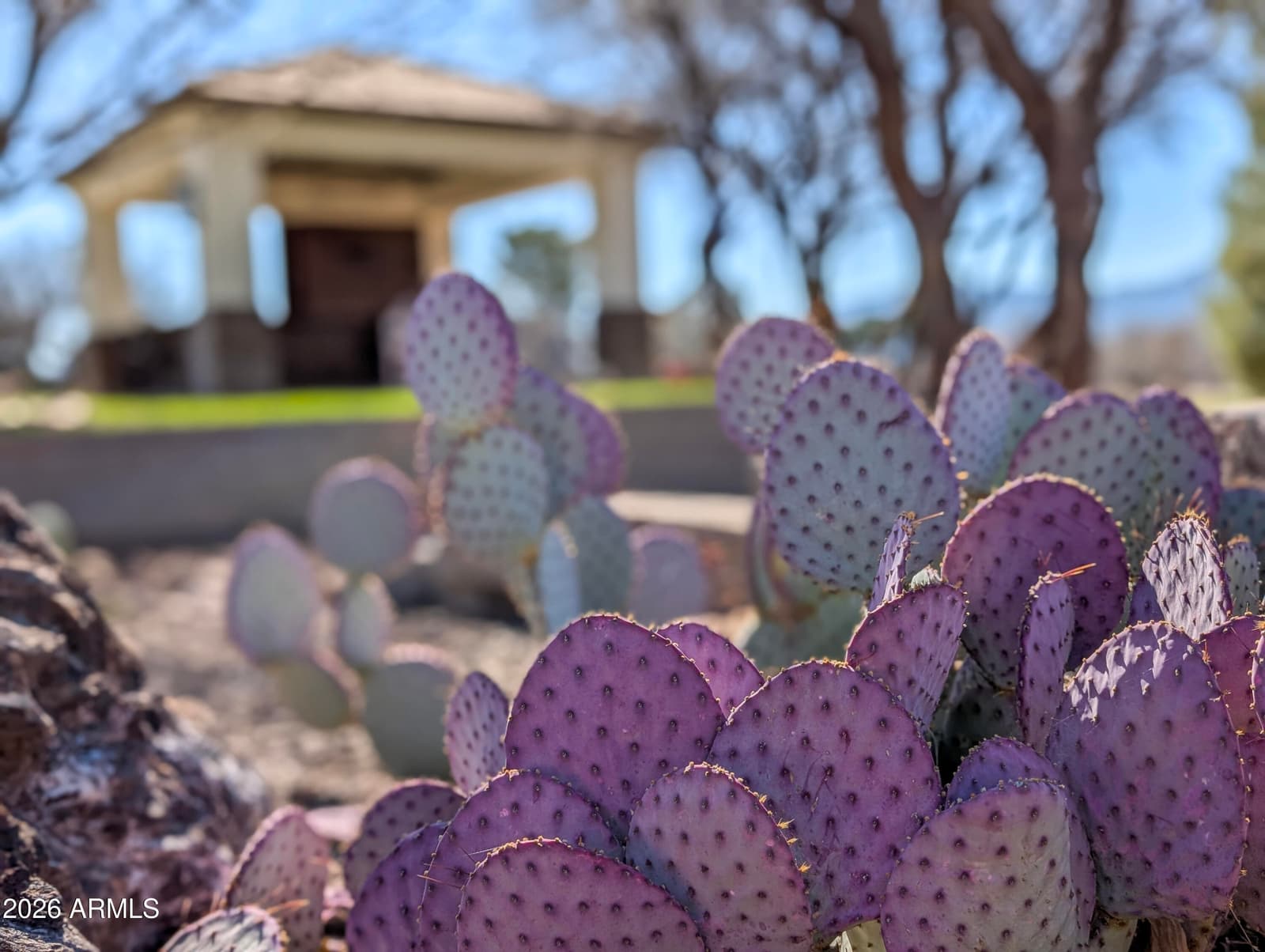 2833 S OLD CHURCH Road, Camp Verde, AZ 86322 — photo 11 of 116
