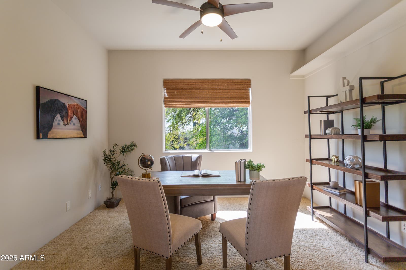 40777 N ECHO CANYON Drive, Cave Creek, AZ 85331 — photo 26 of 94