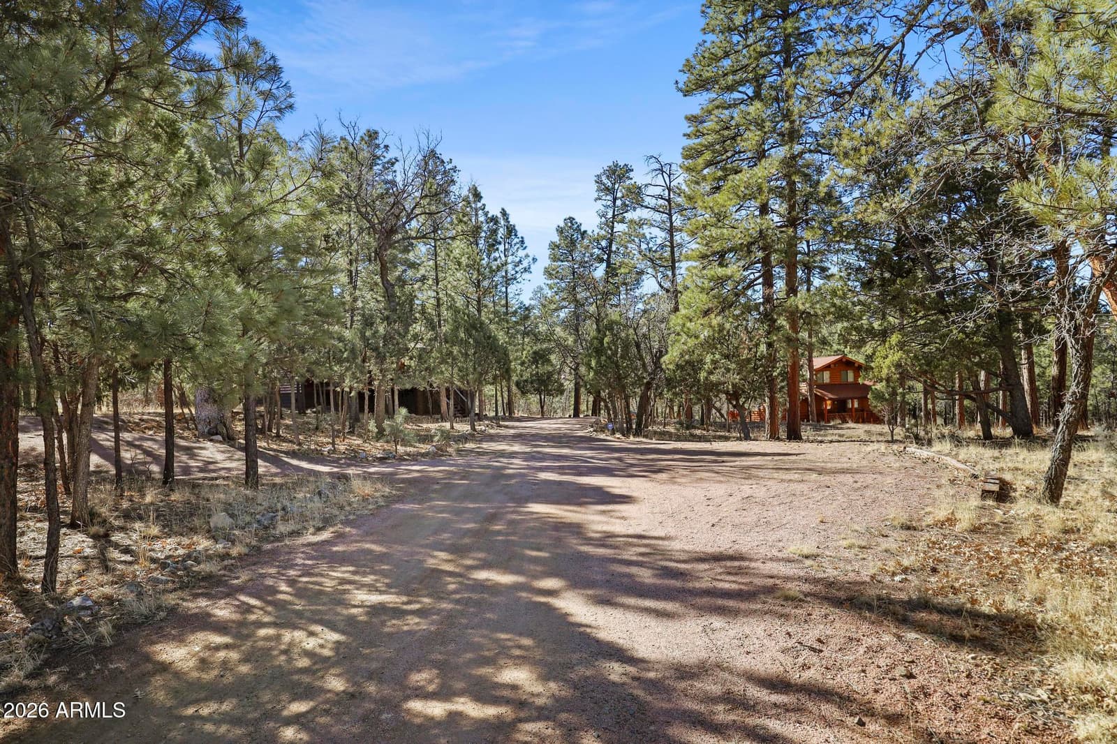 2908 APACHE Drive, Happy Jack, AZ 86024 — photo 33 of 33