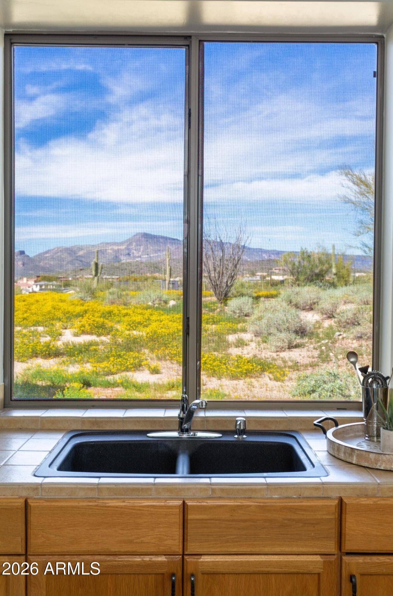 40777 N ECHO CANYON Drive, Cave Creek, AZ 85331 — photo 53 of 94