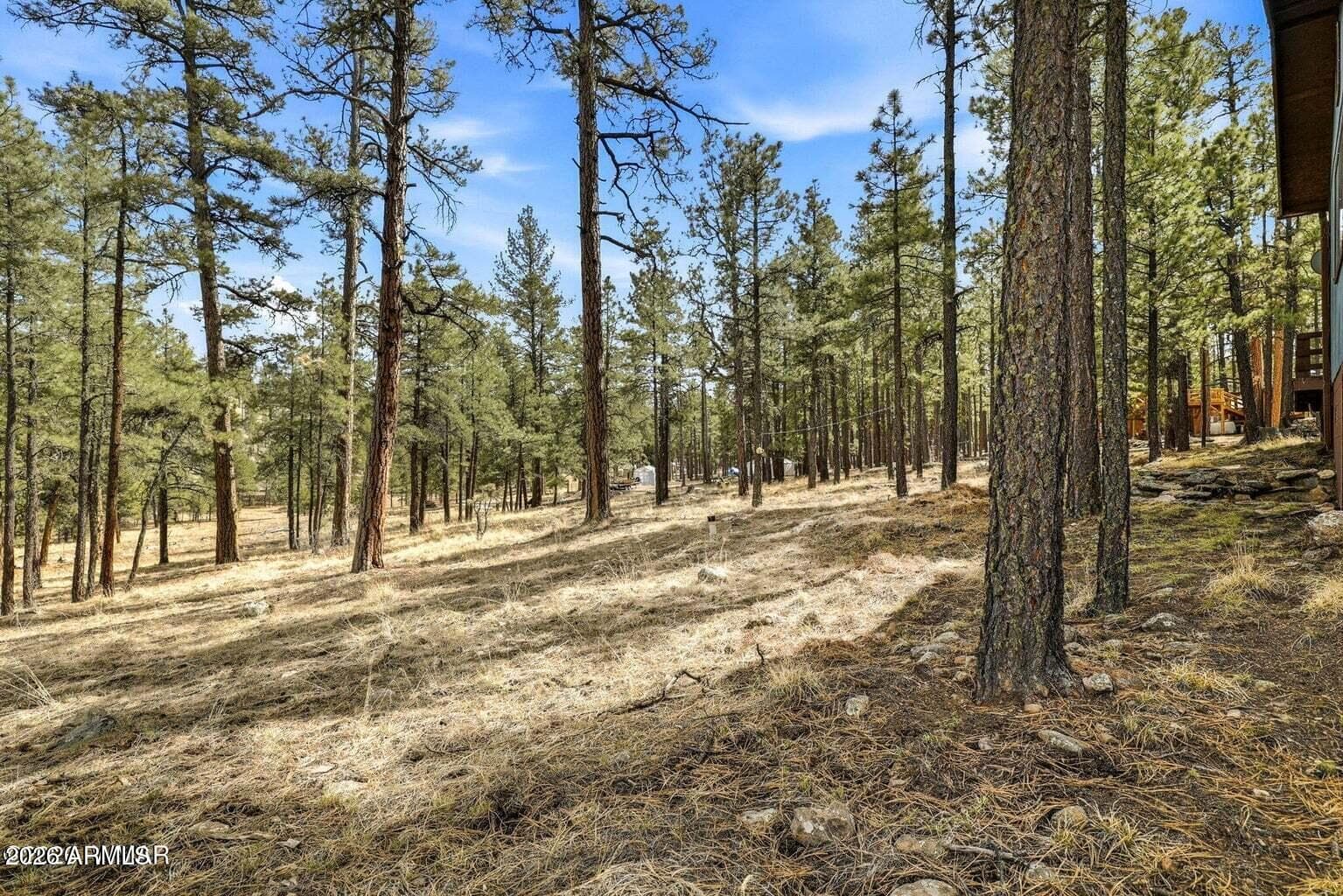 6 S COUNTY ROAD N2148 Road, Alpine, AZ 85920 — photo 16 of 29