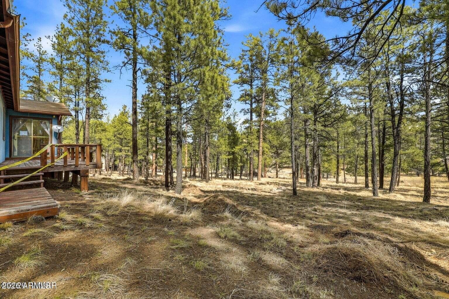 6 S COUNTY ROAD N2148 Road, Alpine, AZ 85920 — photo 17 of 29