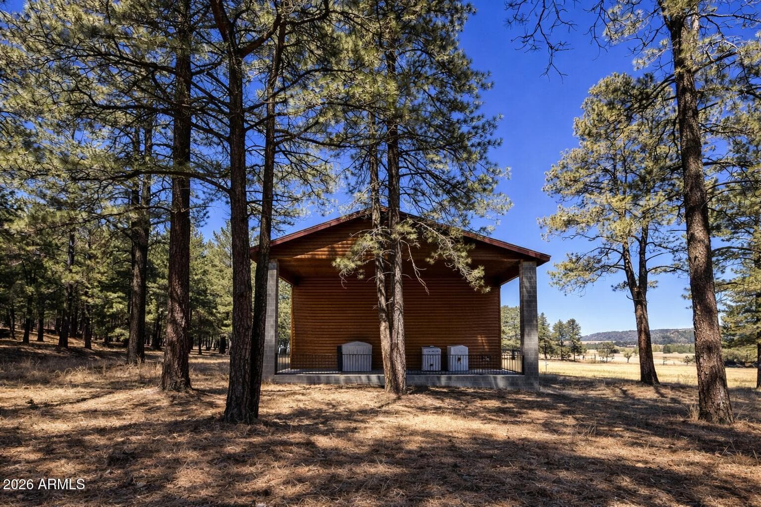 3 County Road N2261, Alpine, AZ 85920 — photo 10 of 41