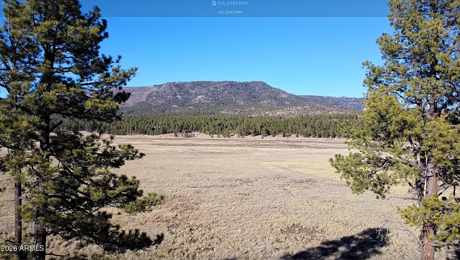 3 County Road N2261, Alpine, AZ 85920 — photo 35 of 41
