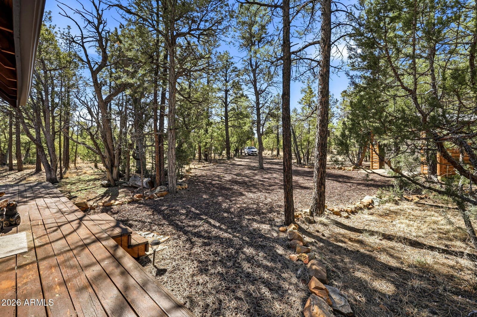2028 JONES PASS, Overgaard, AZ 85933 — photo 4 of 31