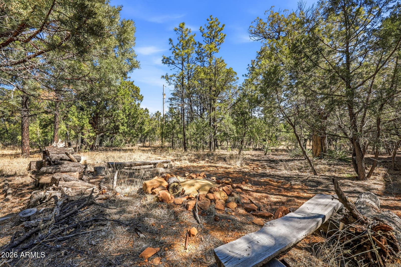 2028 JONES PASS, Overgaard, AZ 85933 — photo 23 of 31