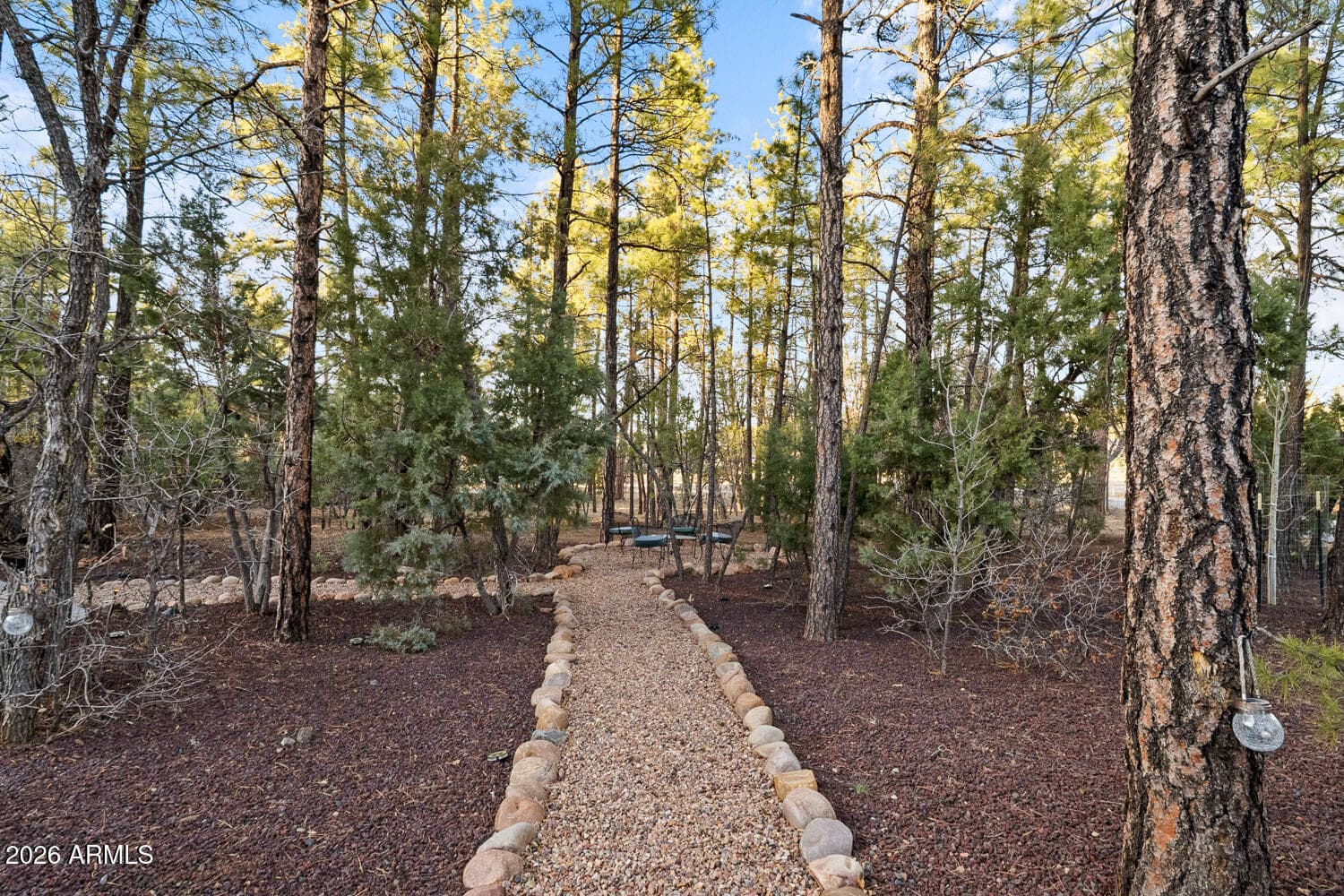 1730 S Torreon Lakes Drive, Show Low, AZ 85901 — photo 61 of 92