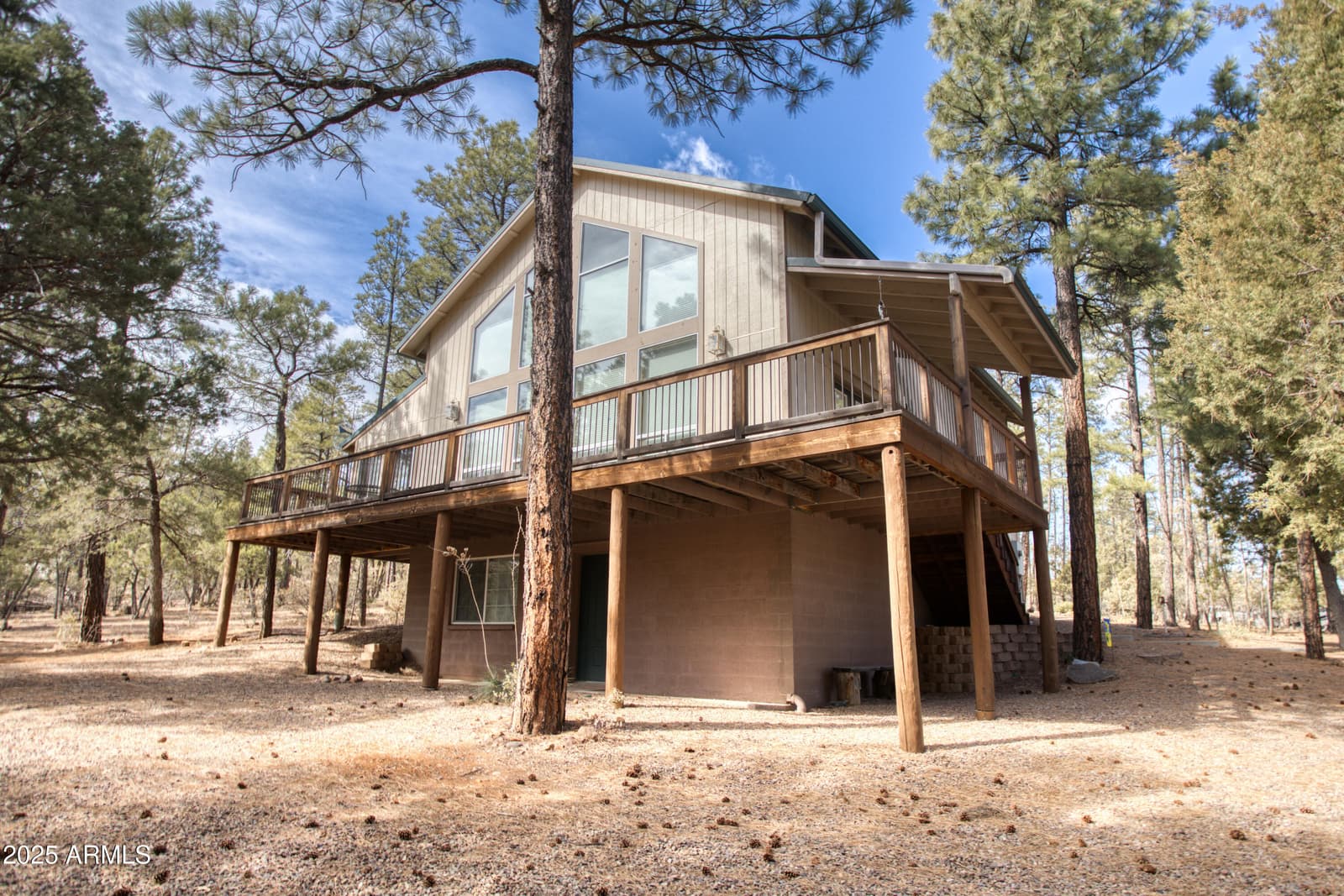 2745 S HIDDEN OAKS Drive, Show Low, AZ 85901 — photo 1 of 45
