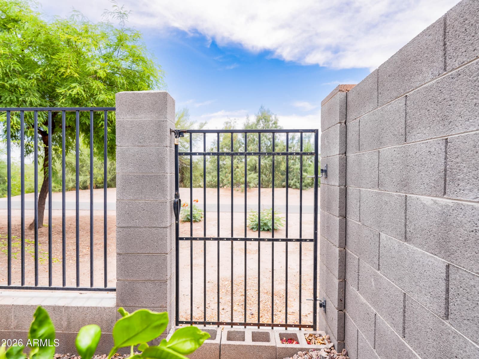 20439 E Palomino Drive, Queen Creek, AZ 85142 — photo 42 of 58