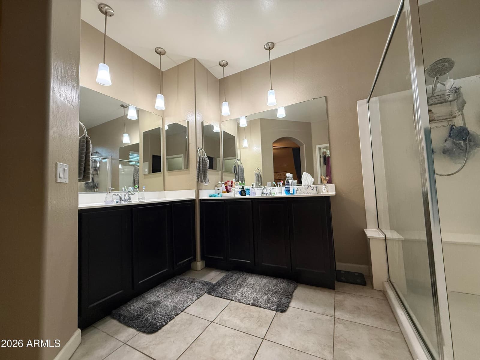 23796 W Romley Avenue, Buckeye, AZ 85326 — photo 19 of 21