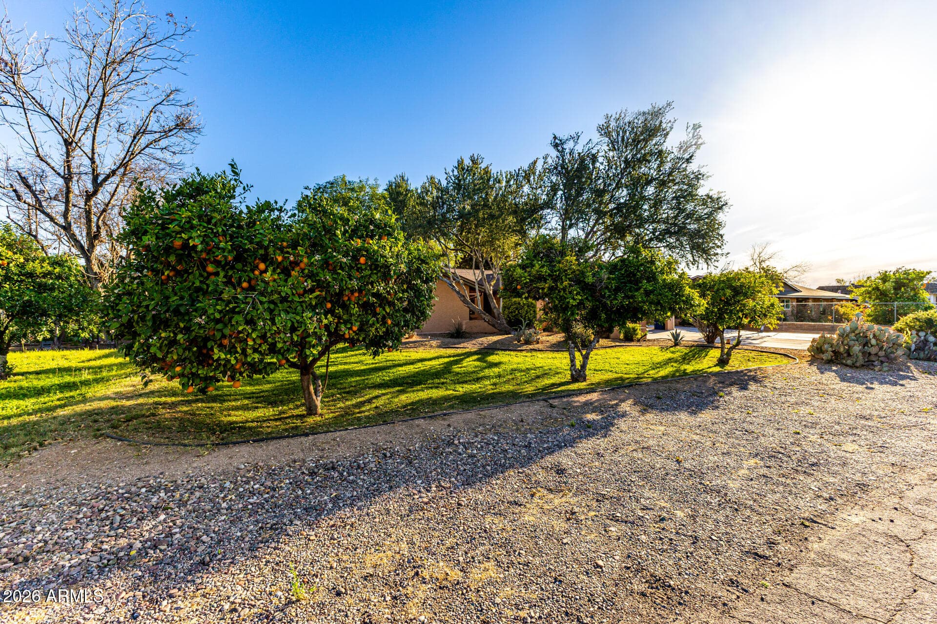 2115 W SHAWNEE Drive, Chandler, AZ 85224 — photo 9 of 56