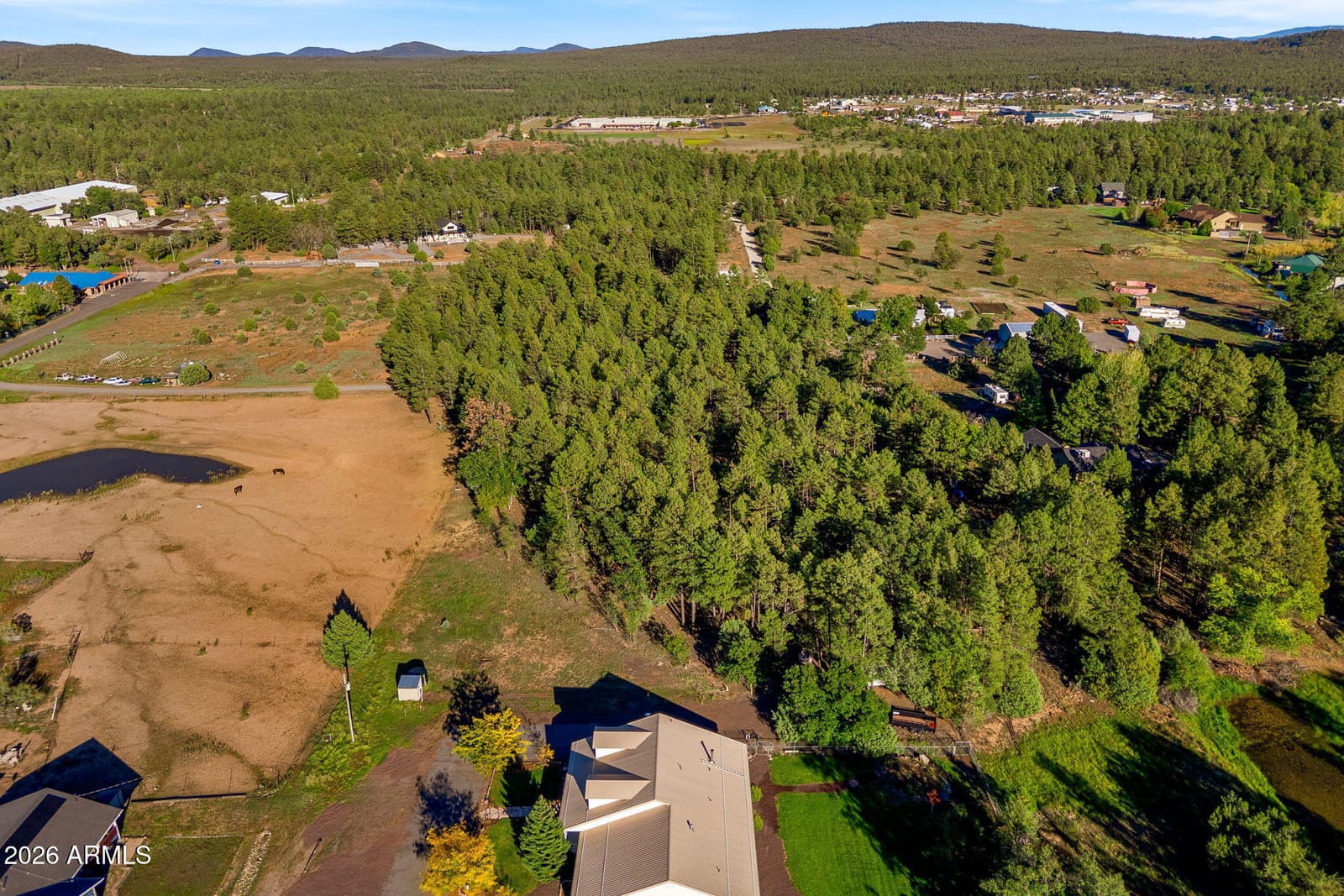 2865 Penney Lane, Lakeside, AZ 85929 — photo 52 of 55