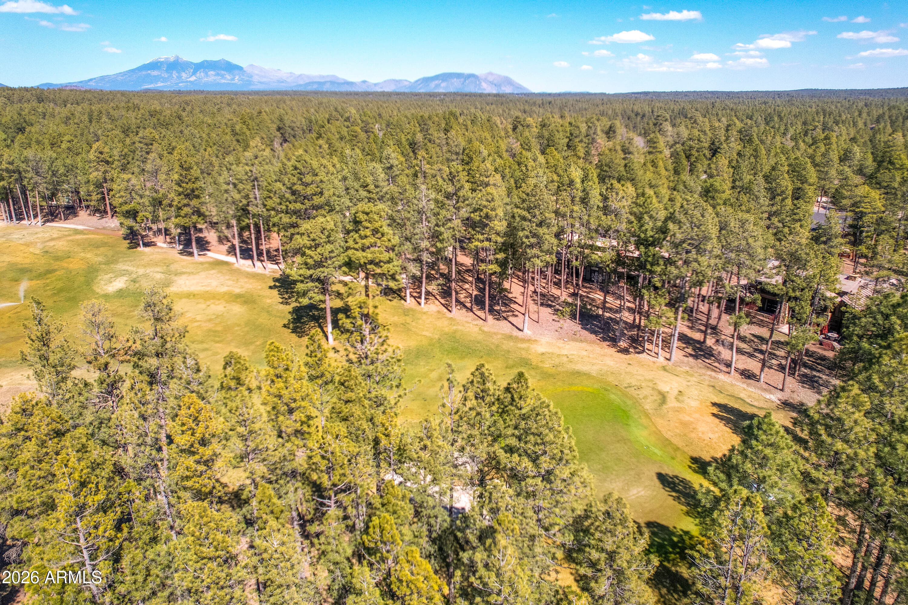 4219 GRIFFITHS Spring, Flagstaff, AZ 86005 — photo 14 of 58
