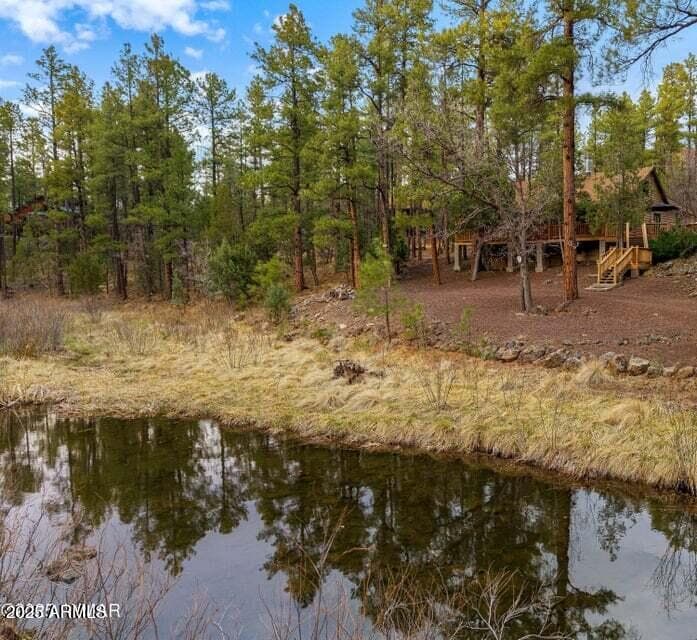 571 W PINE SHADOW Drive, Lakeside, AZ 85929 — photo 2 of 49