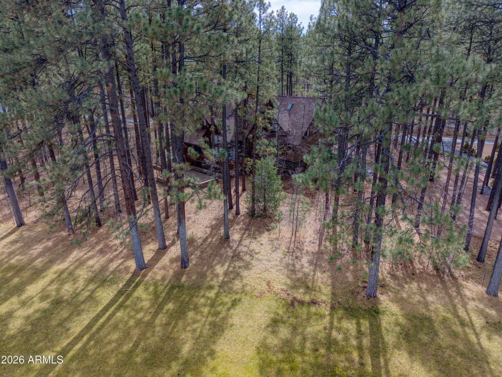 2912 Woodpecker Lane, Pinetop, AZ 85935 — photo 4 of 54