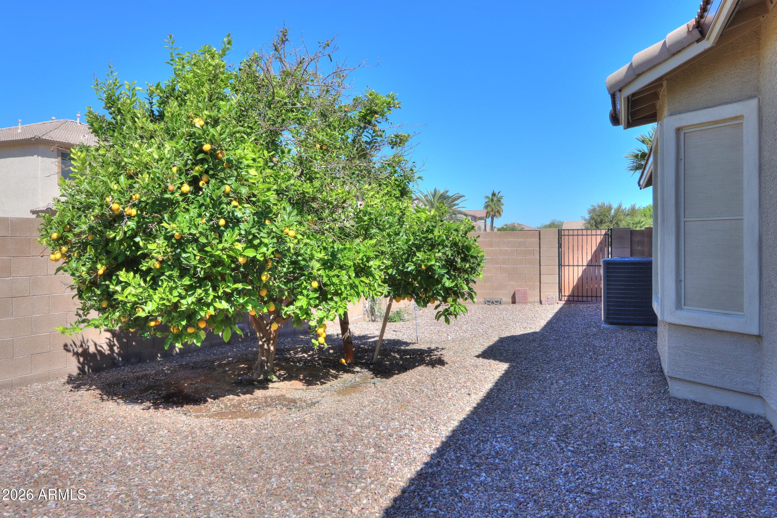 43301 W KNAUSS Drive, Maricopa, AZ 85138 — photo 49 of 55