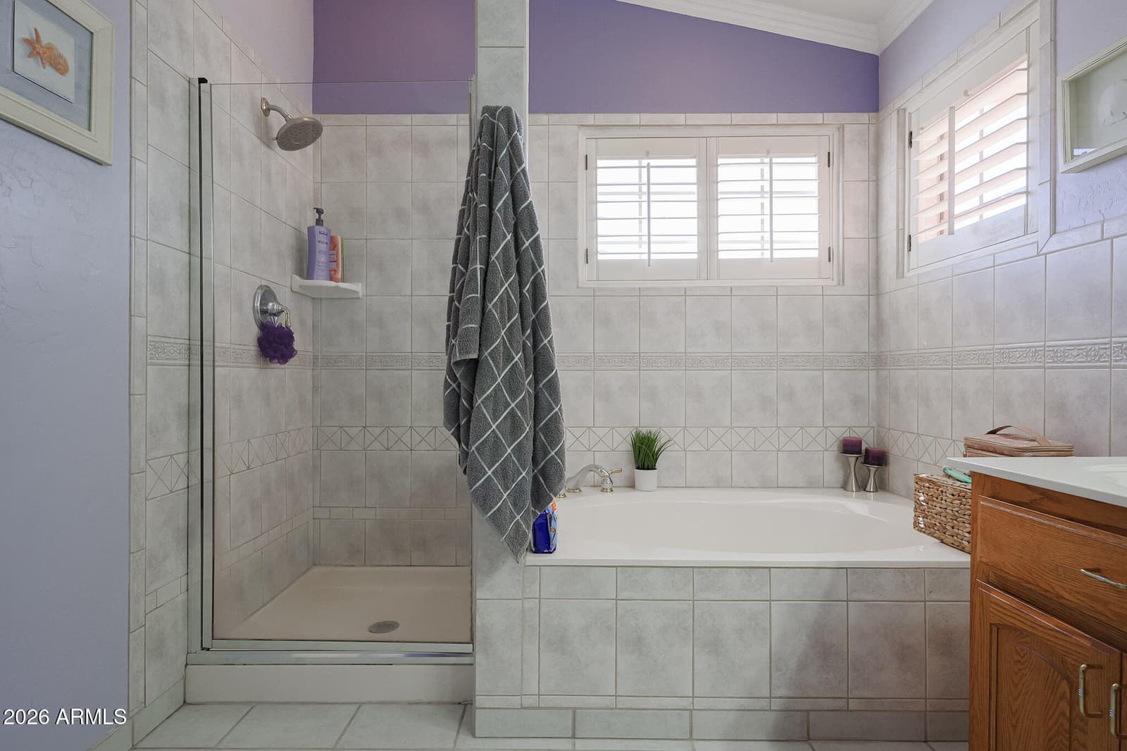 7344 N ALSUP Avenue, Litchfield Park, AZ 85340 — photo 35 of 62