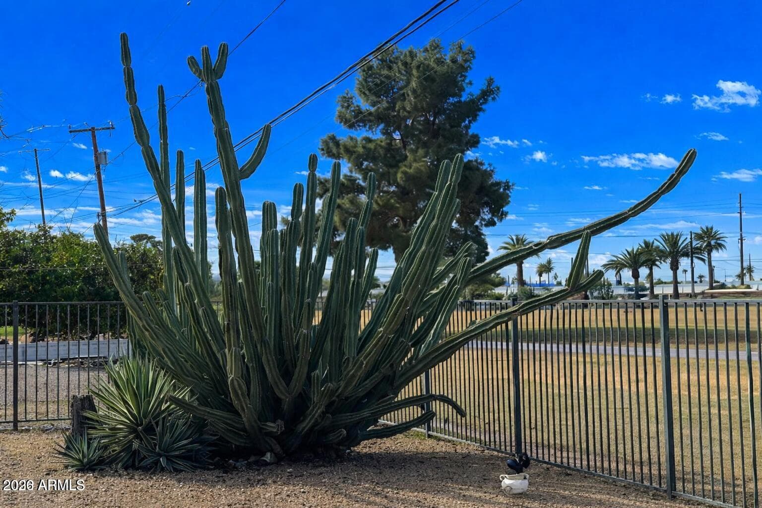 12236 N PEBBLE BEACH Drive, Sun City, AZ 85351 — photo 25 of 35