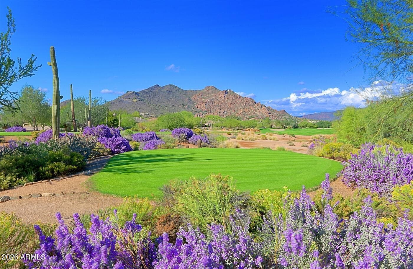 6943 E HIBISCUS Way, Scottsdale, AZ 85266 — photo 77 of 82