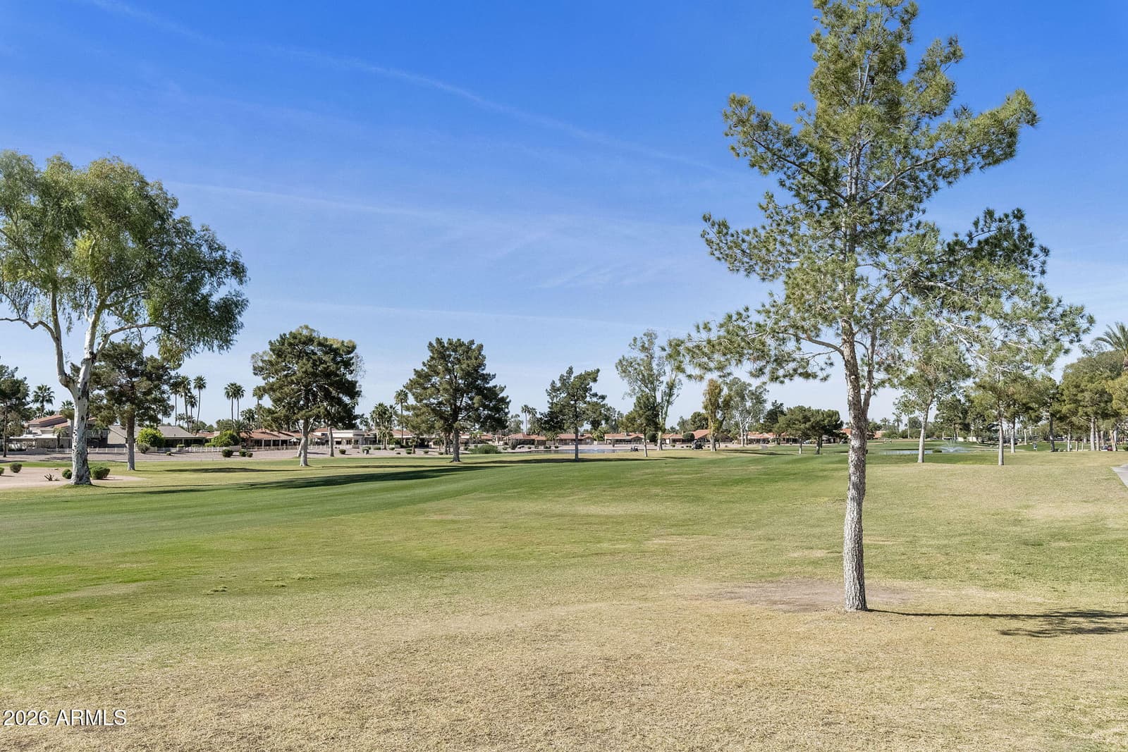 10227 E MICHIGAN Avenue, Sun Lakes, AZ 85248 — photo 49 of 63