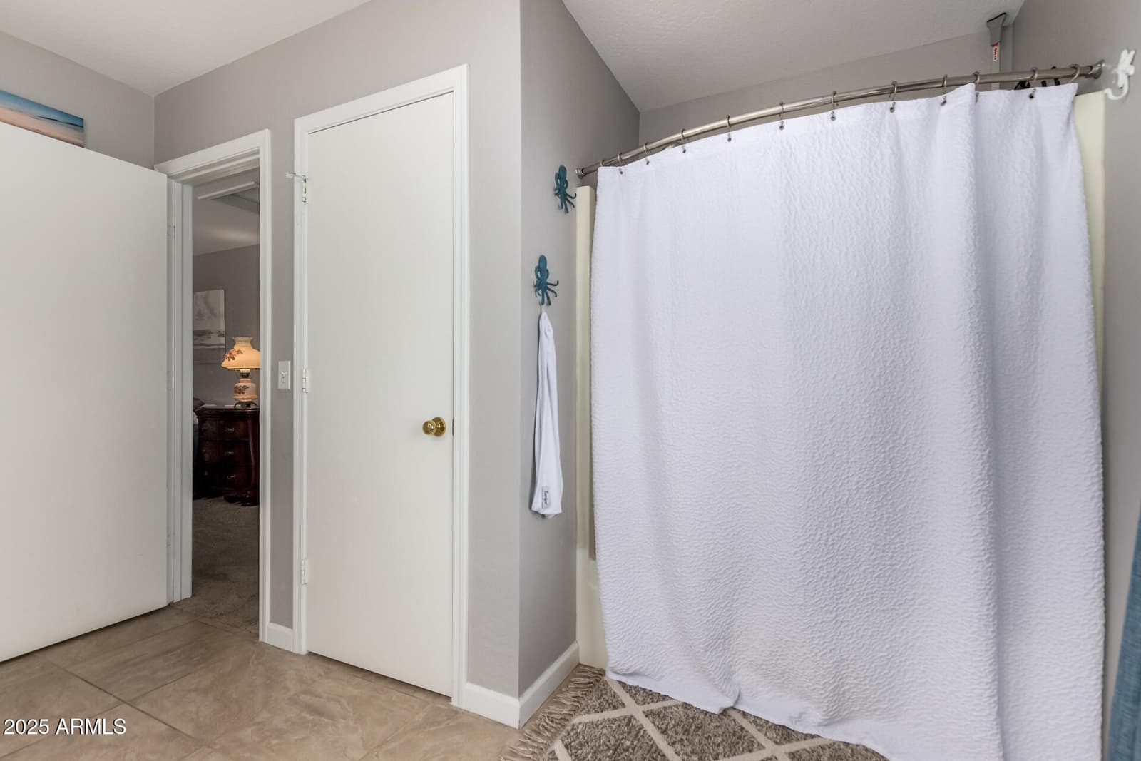 16935 W CENTRAL Street, Surprise, AZ 85388 — photo 18 of 35