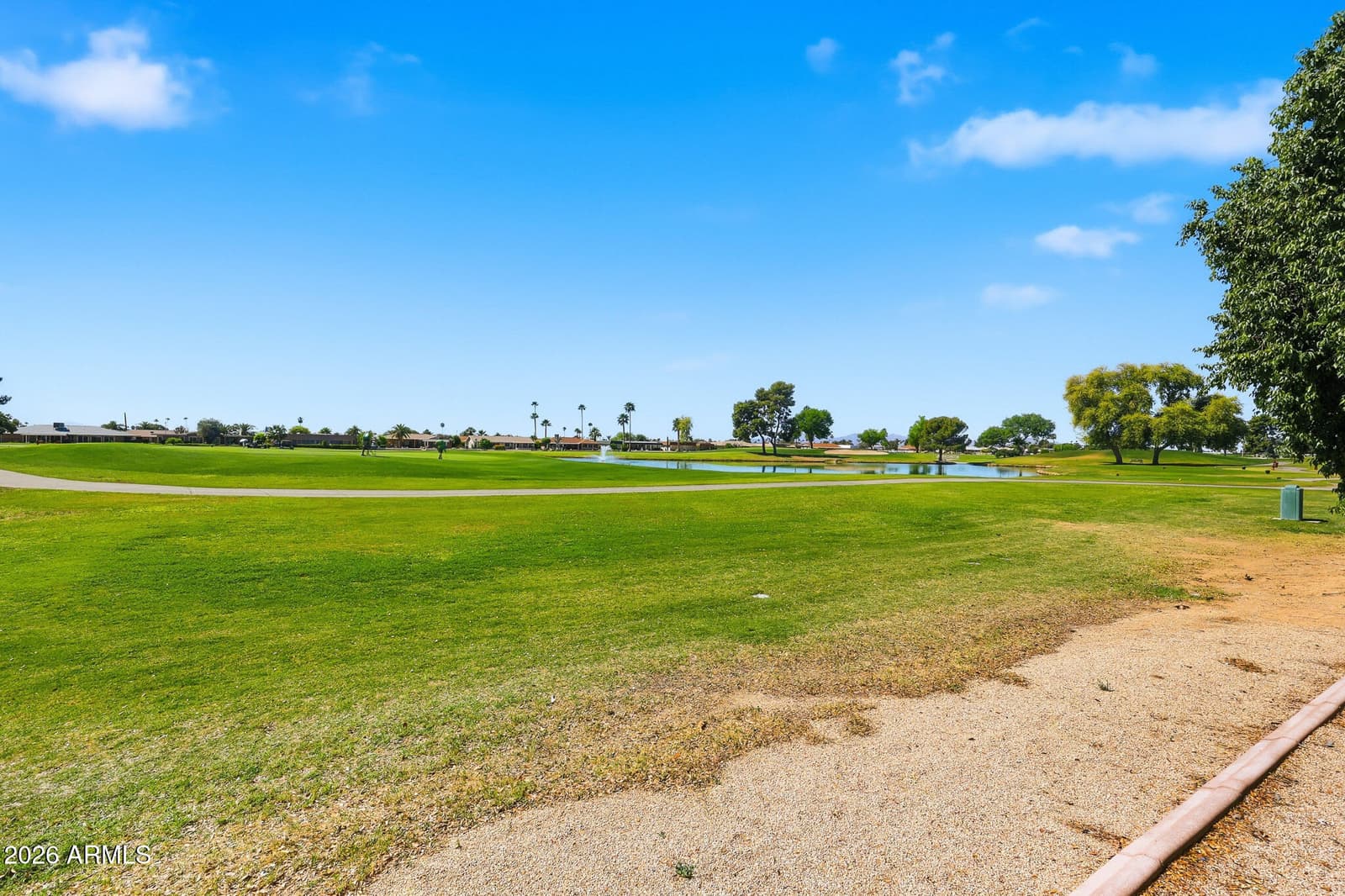 10101 W Pineaire Drive, Sun City, AZ 85351 — photo 39 of 52
