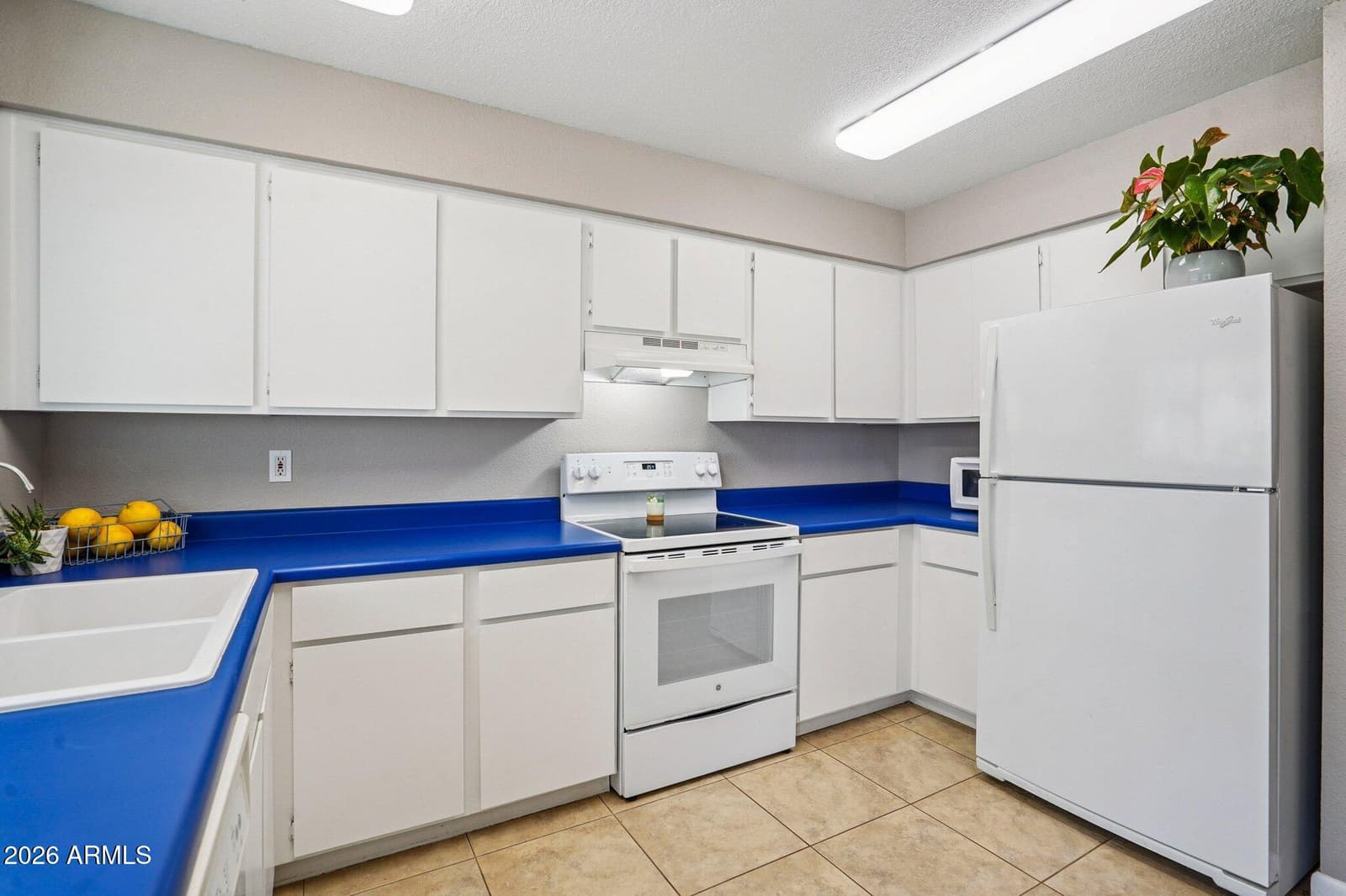 1635 W PLANA Avenue, Mesa, AZ 85202 — photo 14 of 27