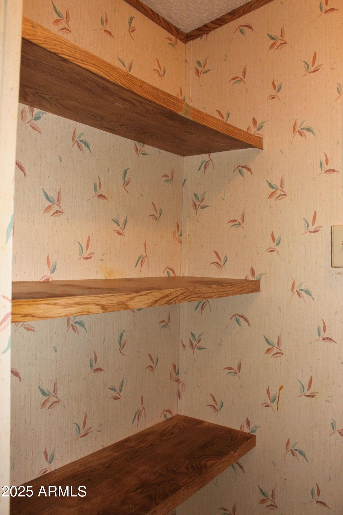 6217 S NATOMA Trail, Hereford, AZ 85615 — photo 19 of 69