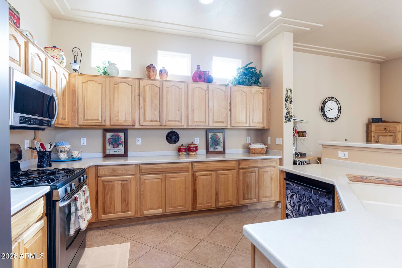 923 W CROOKED STICK Drive, Casa Grande, AZ 85122 — photo 9 of 42